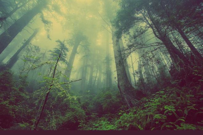 Une note d’espoir pour un pays divisé