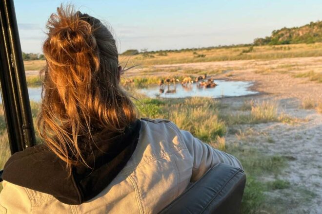 Le bien-être animal dans le tourisme