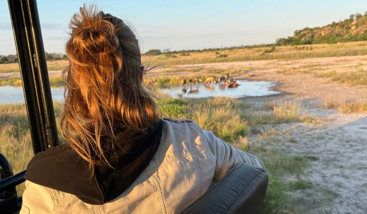 Le bien-être animal dans le tourisme
