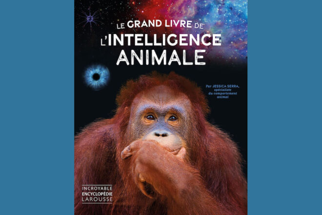 Interview de Jessica Serra sur “Le grand livre de l’intelligence animale” aux éditions Larousse