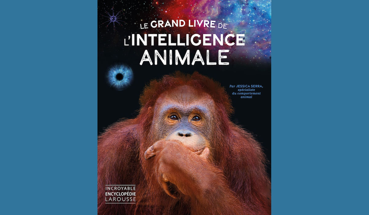 Interview de Jessica Serra sur “Le grand livre de l’intelligence animale” aux éditions Larousse
