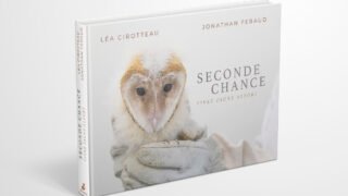 Seconde chance pour la faune sauvage : plongez au cœur d’un centre de soins