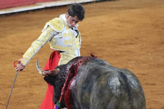 L’étrange “dimension sexuelle” chez certains aficionados…Interview de Yolaine de la Bigne