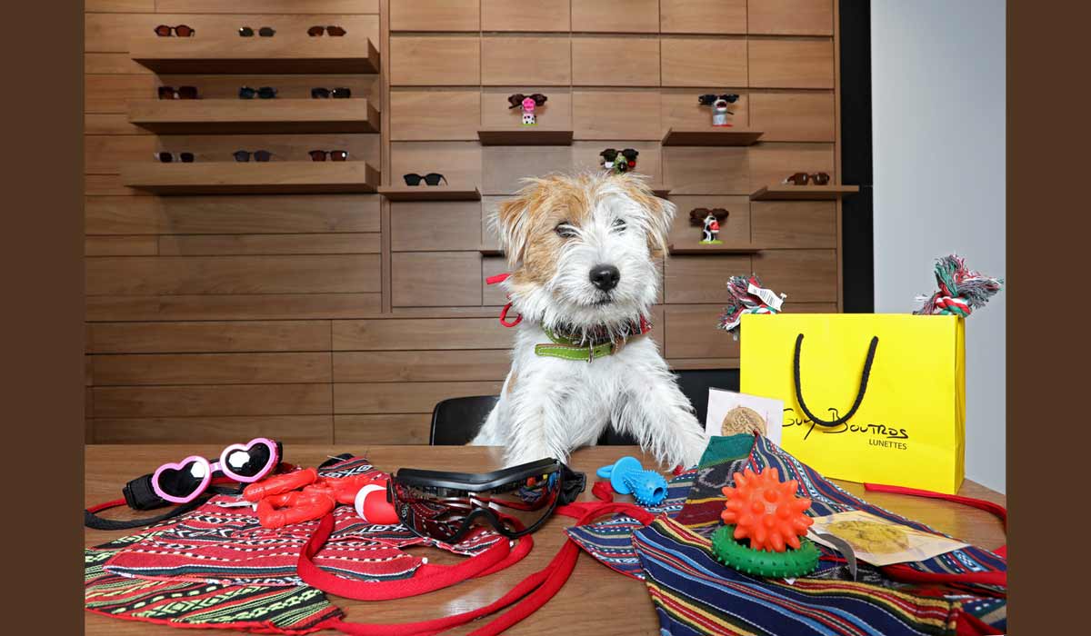 Guy Boutros Lunettes lance le 1er concept store optique 100 % Dog Friendly