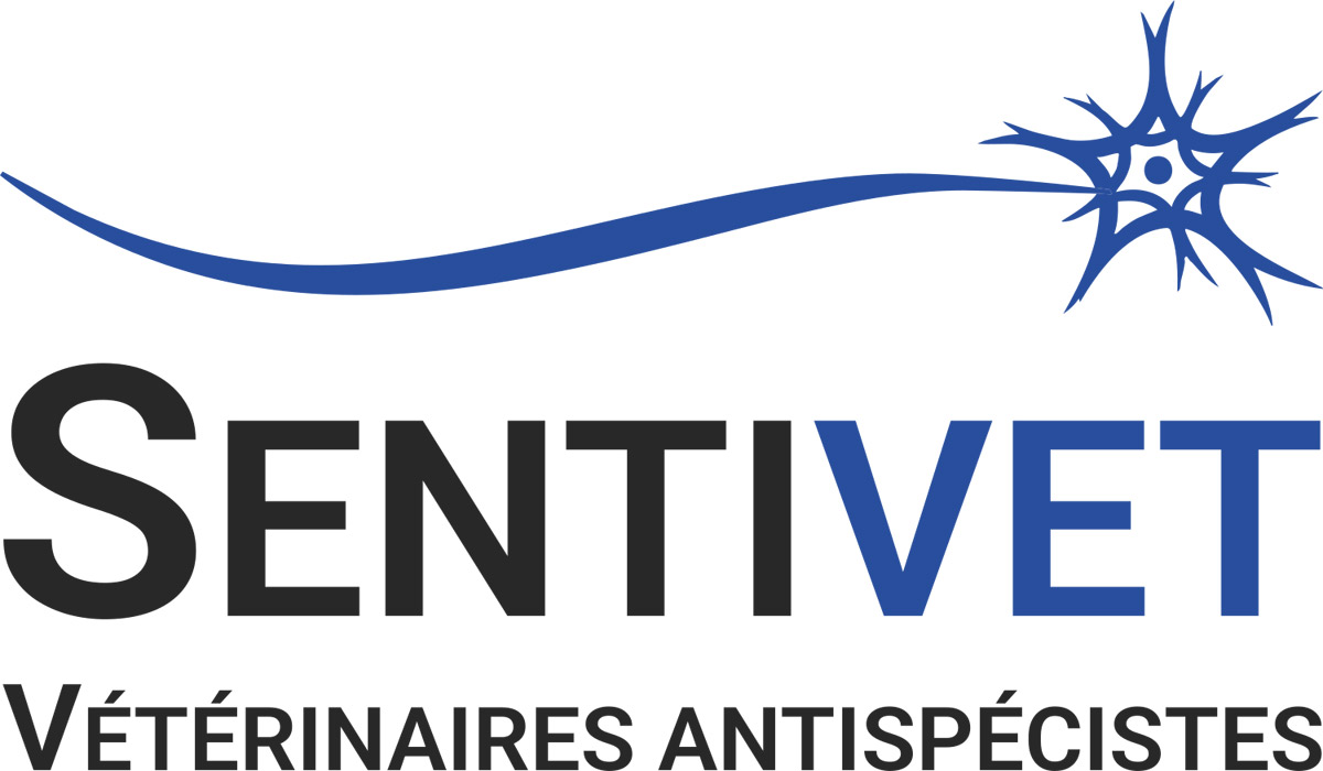 Le premier collectif vétérinaire antispéciste appelle à une révolution éthique de la profession