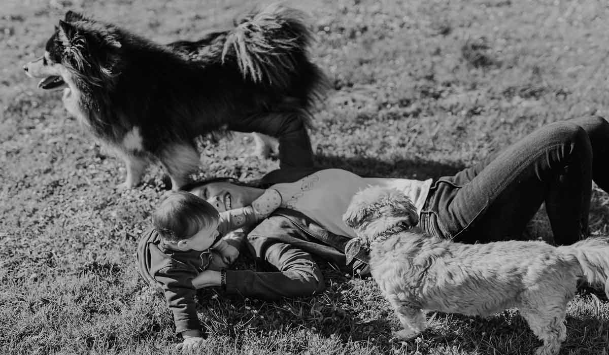 Pet Positive : la  future app qui te motive à agir pour les animaux