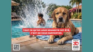 Vacances entre amis: pour lutter contre les abandons d’animaux, la Fondation 30 Millions d’Amis privilégie les solutions !