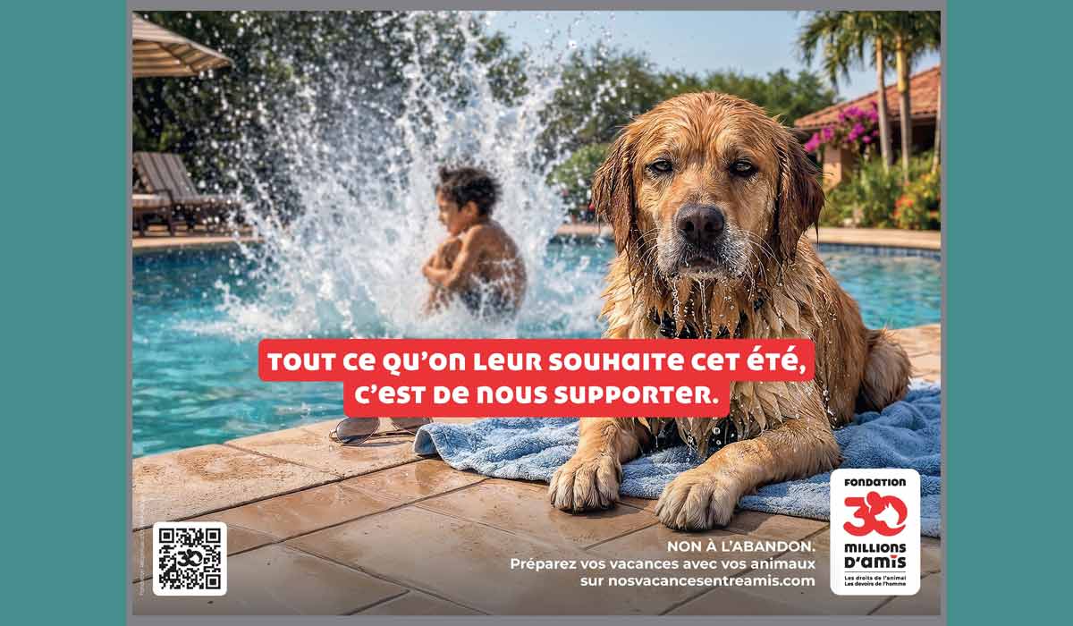 Vacances entre amis: pour lutter contre les abandons d’animaux, la Fondation 30 Millions d’Amis privilégie les solutions !