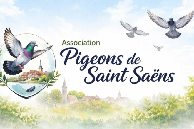 Pigeons des villes : des animaux mal-aimés que l’on souhaite protéger