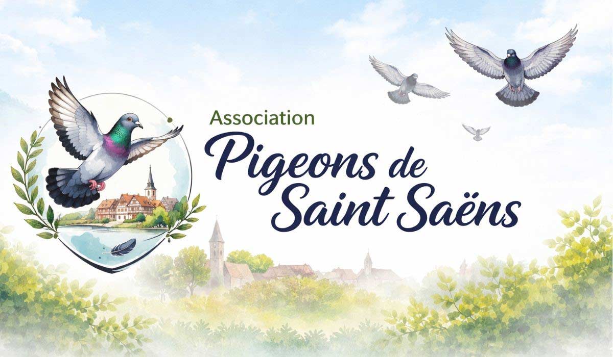 Pigeons des villes : des animaux mal-aimés que l’on souhaite protéger Pigeons des villes : des animaux mal-aimés que l’on souhaite protéger