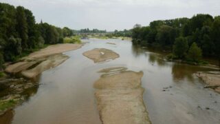 Droits de la nature : le député Charles Fournier dépose une proposition de loi pour reconnaître la personnalité juridique de la Loire