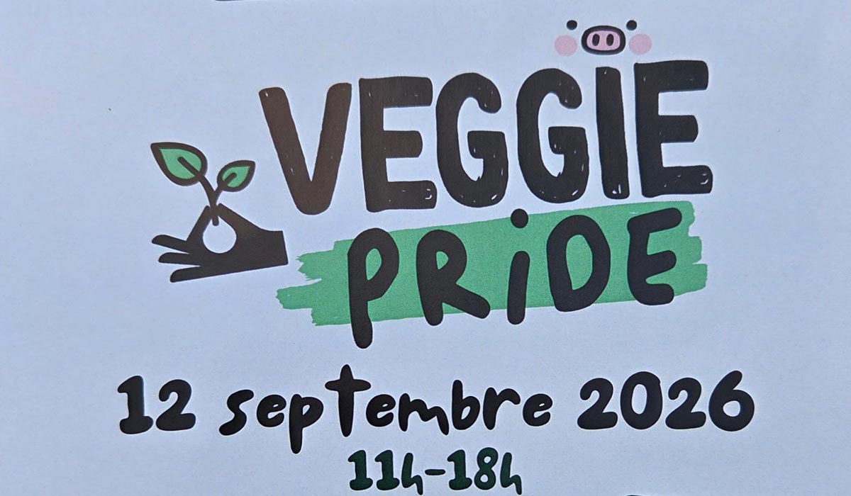 Venez découvrir un évènement inédit en Isère : une première à ne pas manquer ! Venez découvrir un évènement inédit en Isère : une première à ne pas manquer !