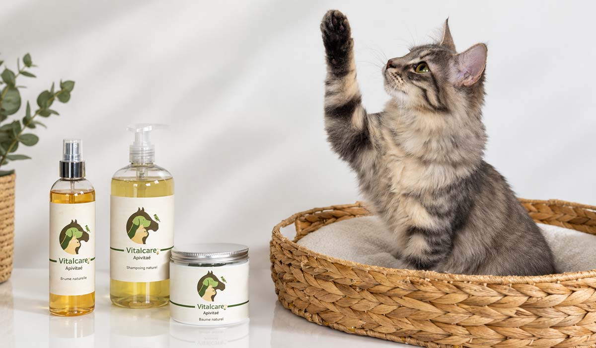 VitalCare : une marque engagée pour le bien-être animal VitalCare : une marque engagée pour le bien-être animal