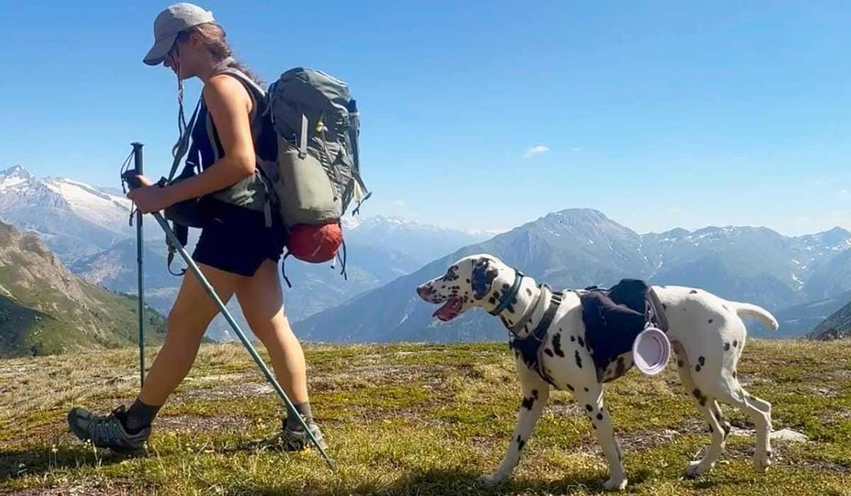 3 mois, 2000 km, une femme et sa chienne ! 3 mois, 2000 km, une femme et sa chienne !