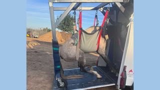 Lucky Horse à Mazan : des alertes de mai aux retraits judiciaires, un dossier qui ne cesse de s’alourdir