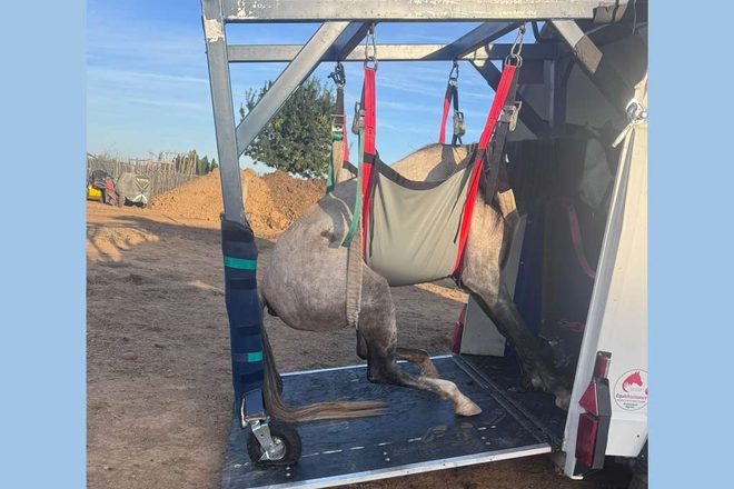 Lucky Horse à Mazan : des alertes de mai aux retraits judiciaires, un dossier qui ne cesse de s’alourdir