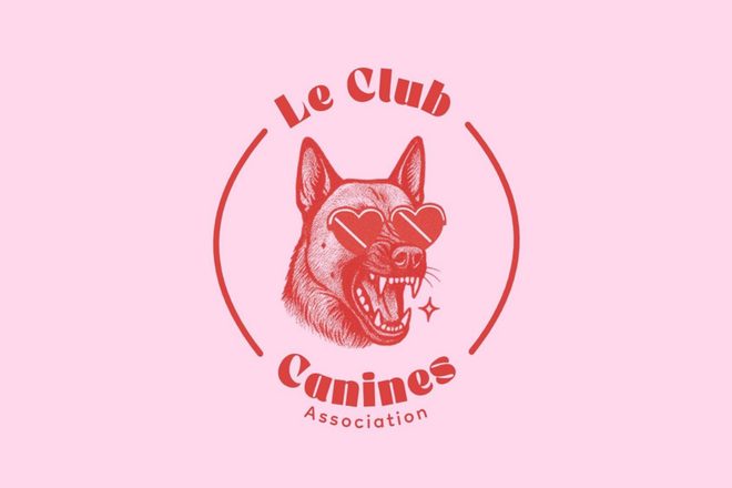 Le club Canines