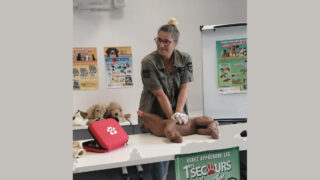 L’atelier PATT’SECOURS canins et félins