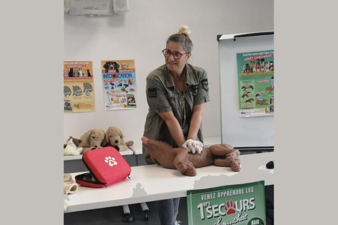 L’atelier PATT’SECOURS canins et félins