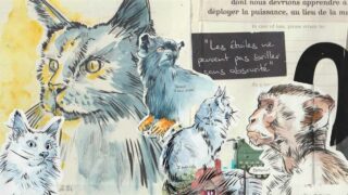 Animaux à fleur de mine