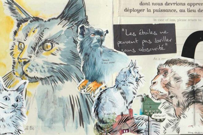 Animaux à fleur de mine