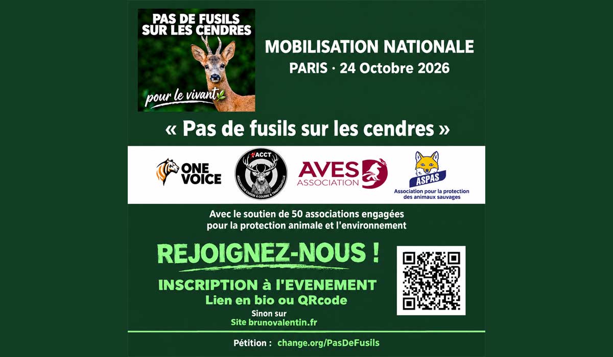 « Pas de fusils sur les cendres » : du Cantal à la marche pour le vivant