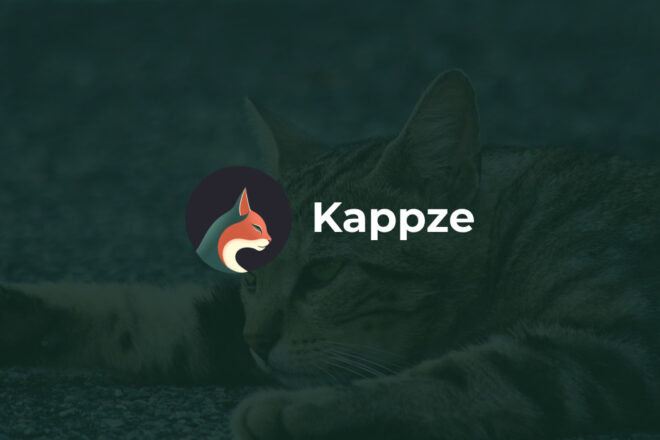 Kappze : la plateforme innovante au service des chats errants