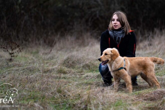 Faire de sa passion son métier