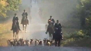 Chasse à courre : cris, citronnelle et barque, 5 personnes jugées devant la Cour d’appel de Versailles après leur relaxe en première instance