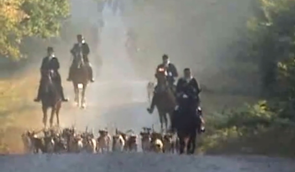 Chasse à courre : cris, citronnelle et barque, 5 personnes jugées devant la Cour d’appel de Versailles après leur relaxe devant le tribunal suite à l’accusation d’obstruction par les veneurs