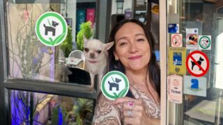 Culture de Wouf : l’association qui agit pour réduire le nombre de lieux interdits aux chiens