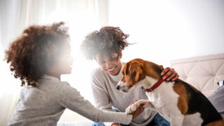 Deuil animalier : entre mœurs et réalité