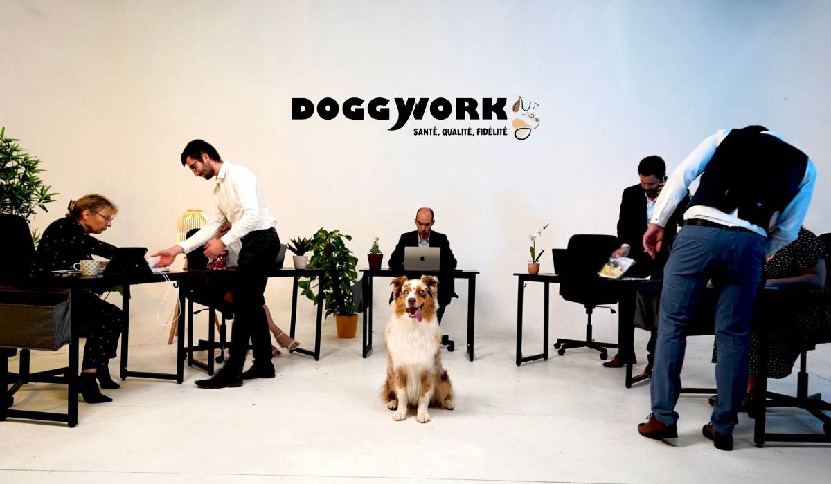 Vendredi 21 juin 2024 : journée internationale du chien au travail, avec DoggyWorky c’est toute l’année !