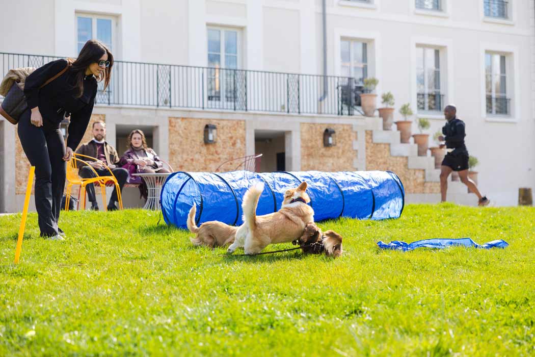 Dolce by Wyndham Versailles Domaine du Montcel. Le Dolce Versailles devient pet friendly et lance son Toutou Brunch