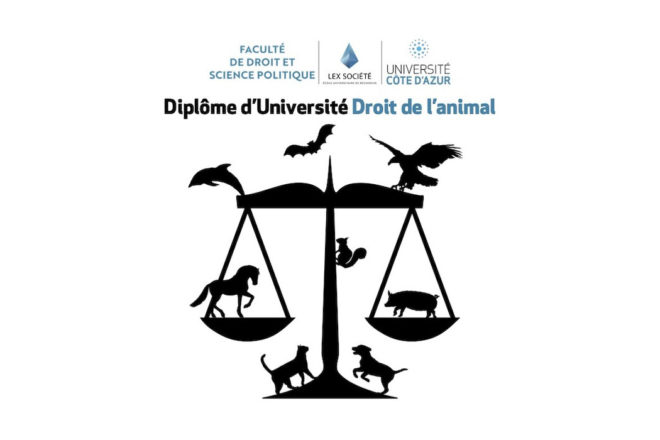 Naissance du Diplôme d’Université Droit de l’animal de l’Université Côte d’Azur