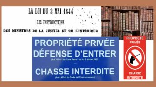 Chasse : droit de suite, une rumeur au profit des chasseurs