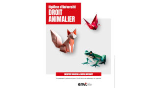 Le Diplôme de droit animalier de l’École de droit de Toulouse : une formation unique en France, engagée et nécessaire