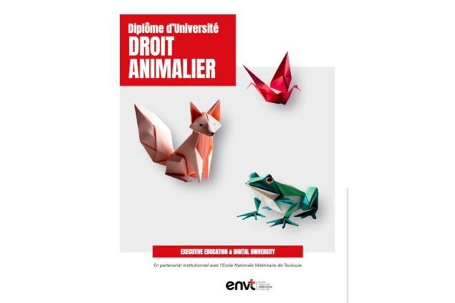 Le Diplôme de droit animalier de l’École de droit de Toulouse : une formation unique en France, engagée et nécessaire