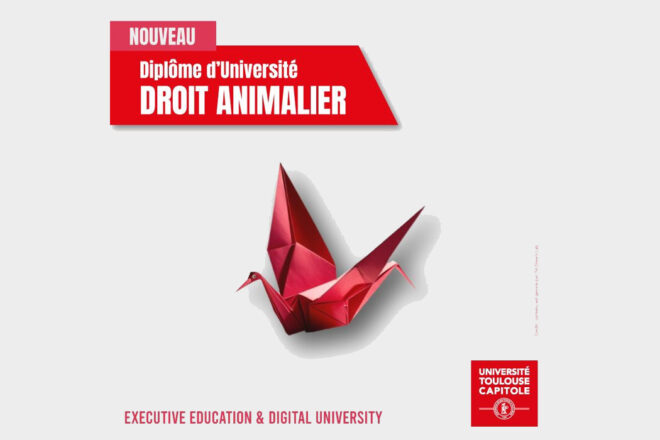 Une nouvelle formation en Droit animalier ouvre à Toulouse : une première dans la Région Occitanie !