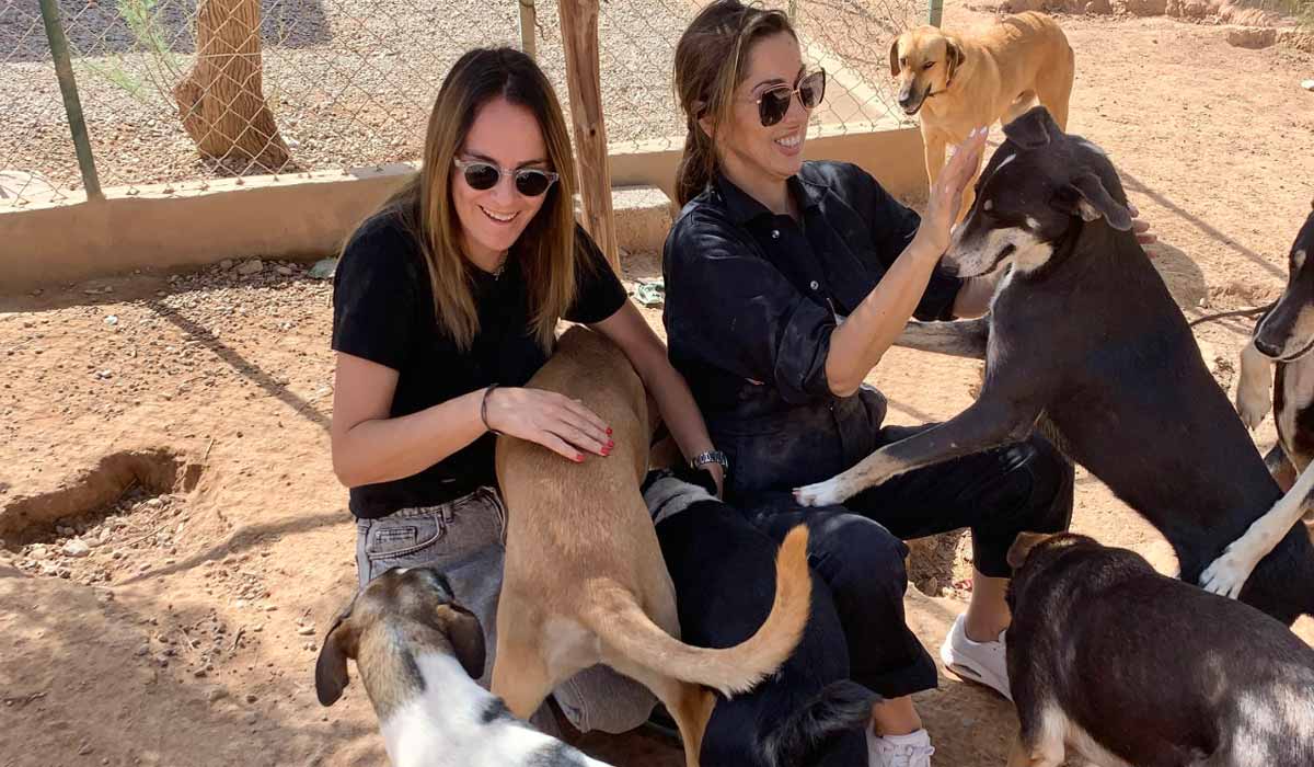Le Ranch de Beldi à Marrakech. Deux femmes, une mission : refuser l’indifférence Le Ranch de Beldi à Marrakech. Deux femmes, une mission : refuser l’indifférence