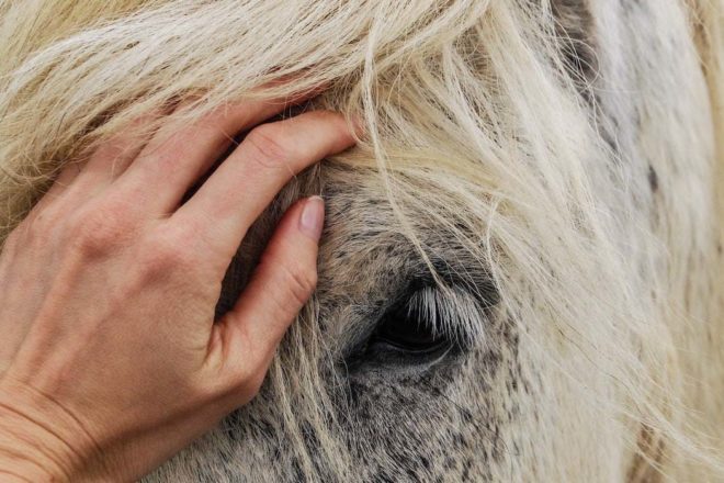Quand la dysfonction ostéopathique devient une dysfonction somatique