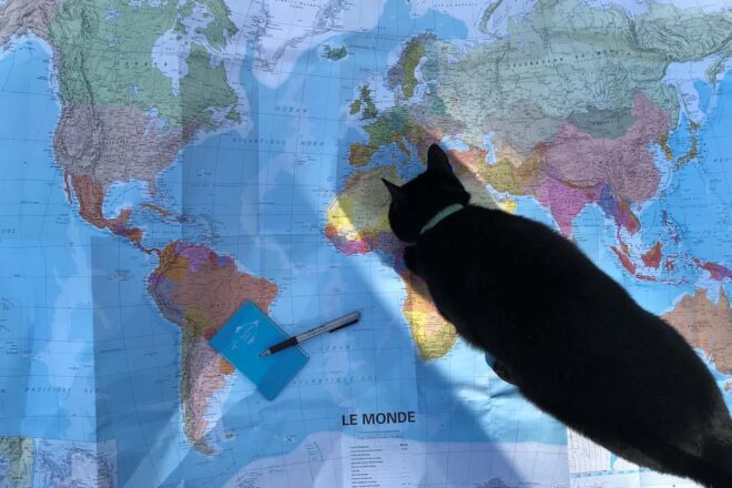 Elias and friends ou la protection des animaux en temps de crise