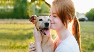 Garde d’animaux : le bon plan pour faire des économies !