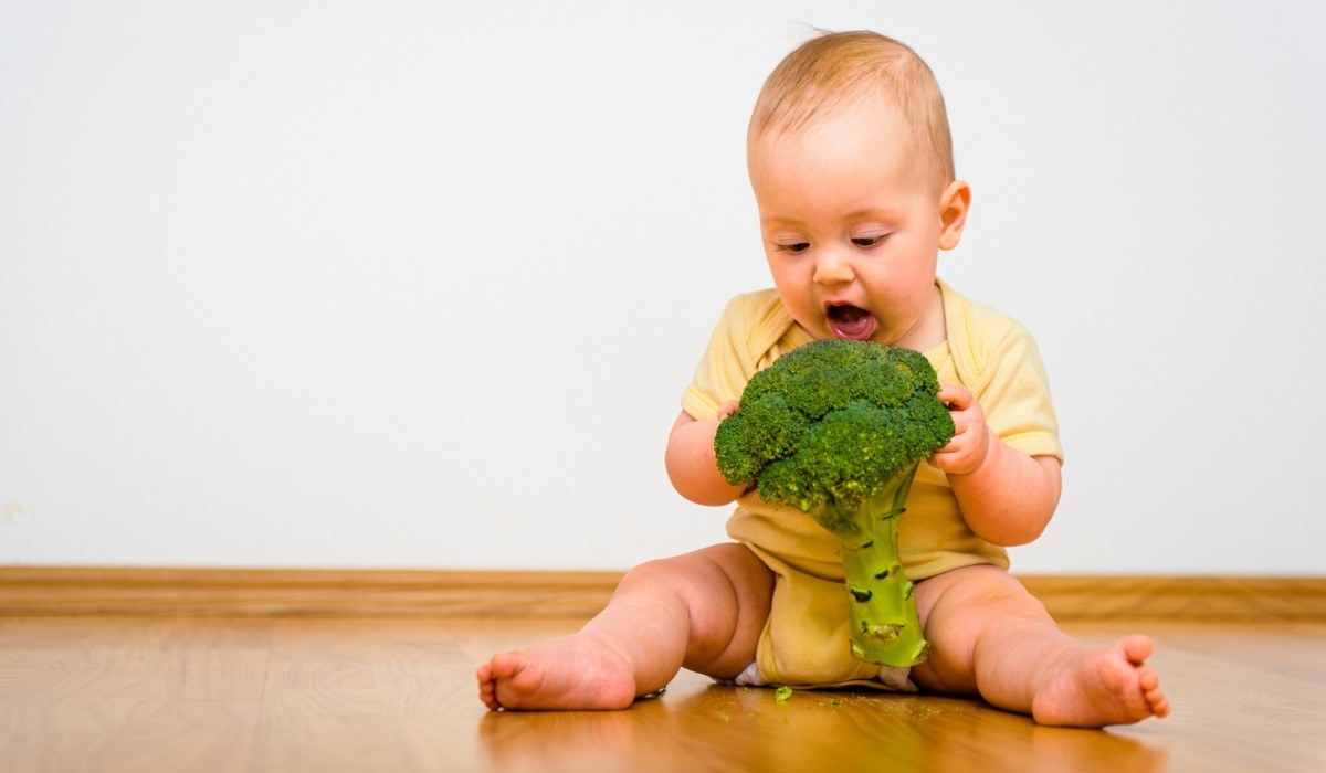 Diversification d’un bébé végane : une autre alimentation est possible dès la naissance