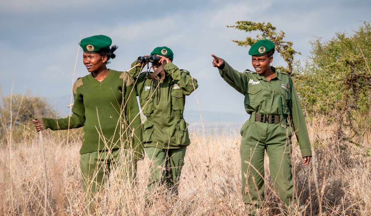 Mise en place en 2019 par IFAW, l’Équipe des Lionnes joue un rôle essentiel dans la préservation de la faune sauvage au Kenya