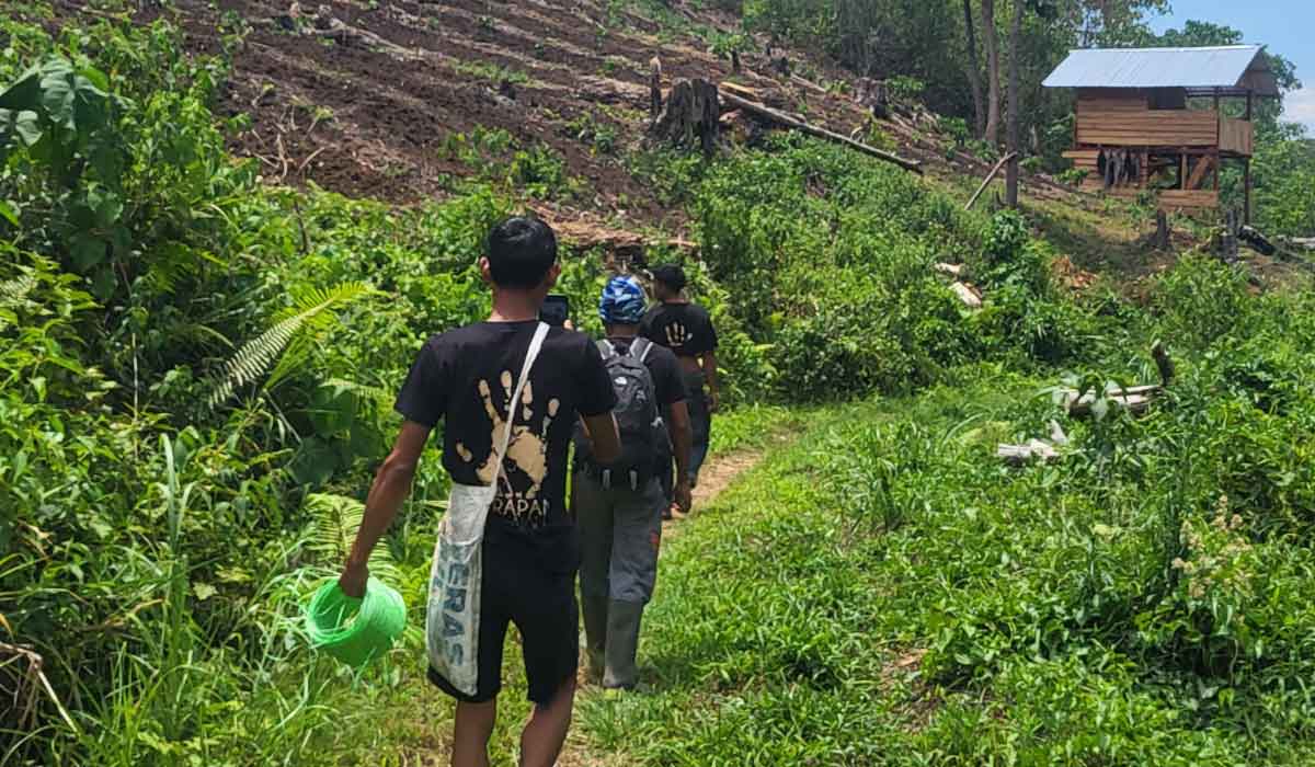 Une avancée majeure pour les éléphants : un village d’Indonésie retire toutes ses clôtures électriques, grâce à l’association Harapan di Gajah