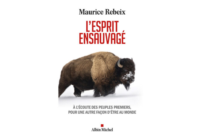 « L’esprit ensauvagé »