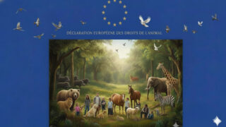 Rappel de la singularité de la Déclaration européenne des droits de l’animal et appel à la soutenir en conséquence
