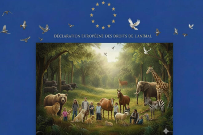 Rappel de la singularité de la Déclaration européenne des droits de l’animal et appel à la soutenir en conséquence