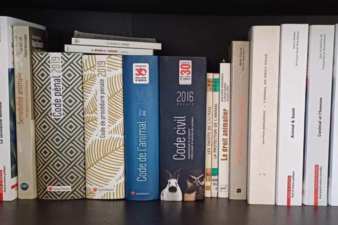 Une association de protection animale de moins de cinq ans d’ancienneté peut-elle se constituer partie civile ?